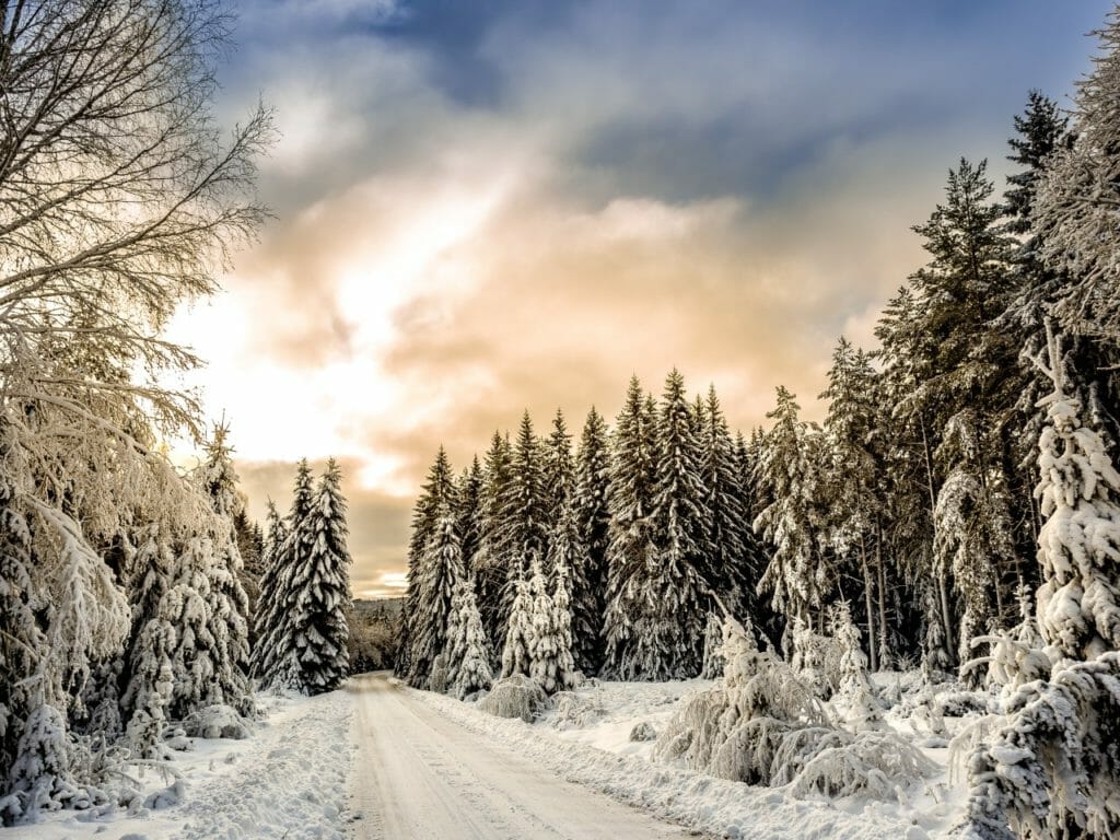 Vivaldi's Four Seasons Winter. A road in between trees covered in snow