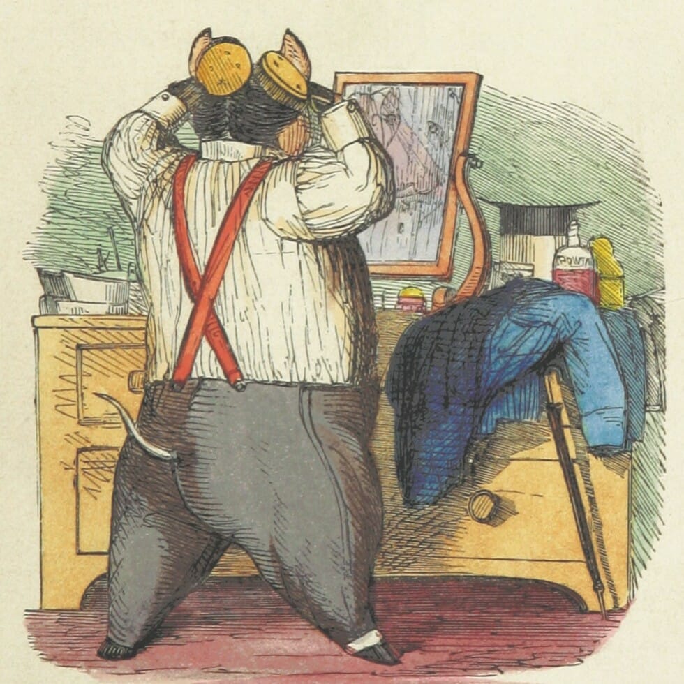 The pig brushes his hair