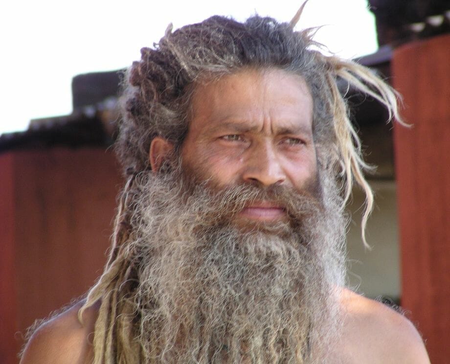 free image - hindu man with large beard