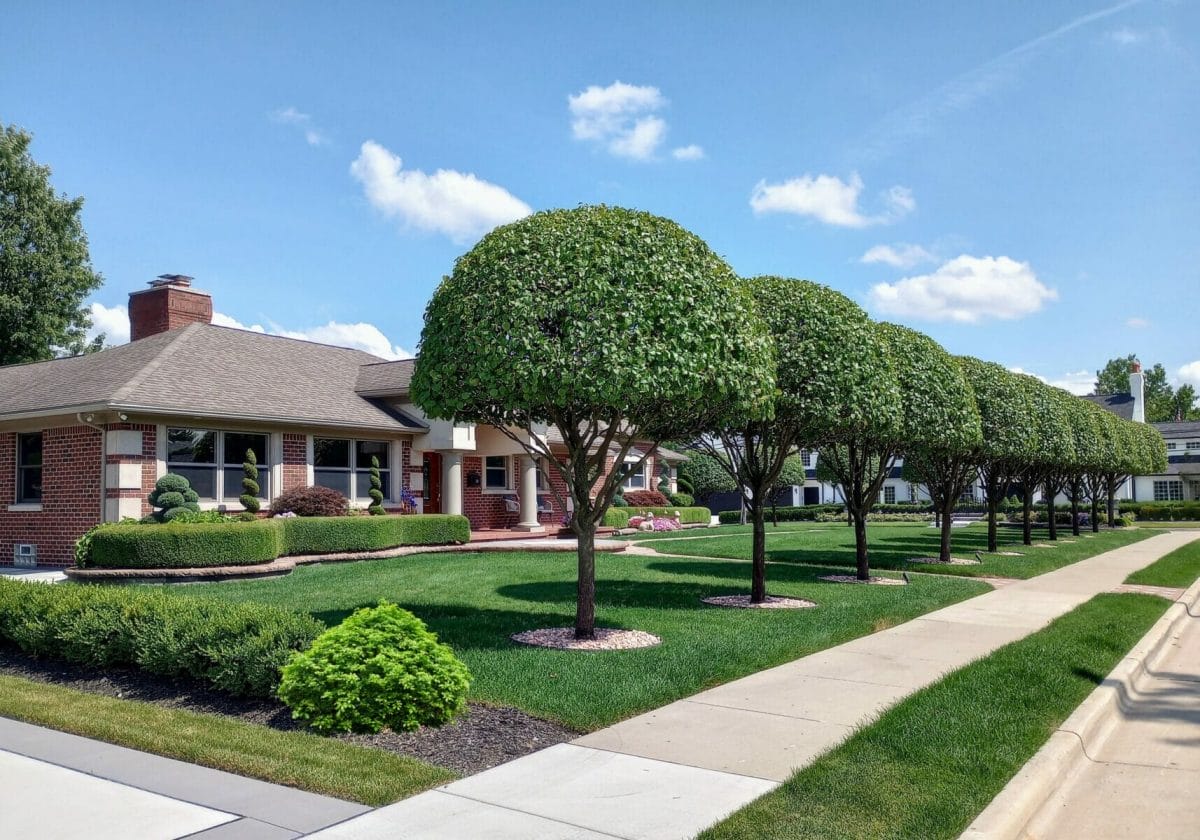 A home with sculptured trees in Dearborn, Michigan; along with carefully manicured lawn and sculptured shrubbery.