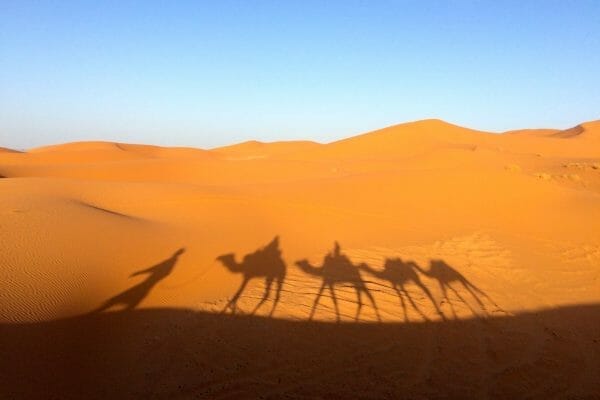 Camel caravan shadows on the sands of time.