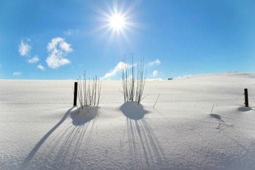 Long shadows on the sands of time. Or is it snow?